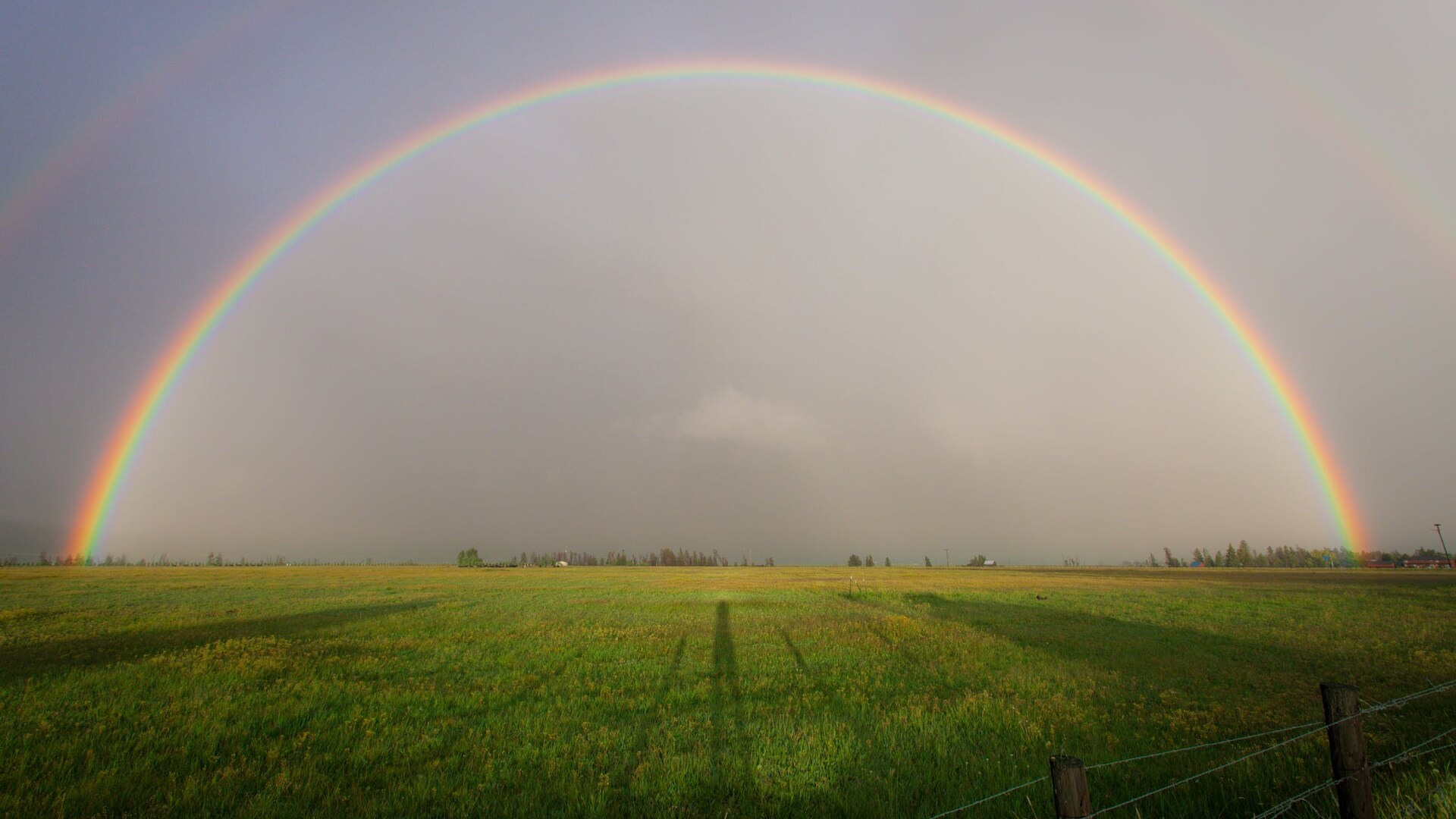 Regenboog over grasland